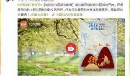 报平安系列视频的爆料人,人生百态，情感交织的温暖故事