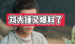 刘大锤爆料娱乐圈孩子,刘大锤爆料揭秘幕后故事